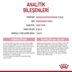 Kitten Yavru Kedi Kuru Maması 2 Kg