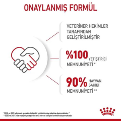 Kitten Yavru Kedi Kuru Maması 2 Kg