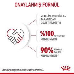 Kitten Yavru Kedi Kuru Maması 2 Kg