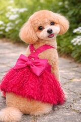 Ziggydog Fuşya Abiye Köpek Elbise