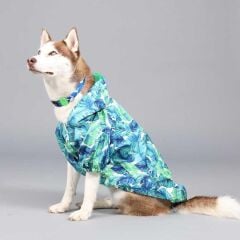 Lindodogs Aqua İçi Fileli Su Geçirmez Köpek Yağmurluğu