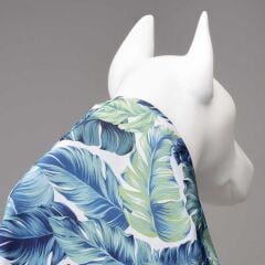 Lindodogs Aqua İçi Fileli Su Geçirmez Köpek Yağmurluğu