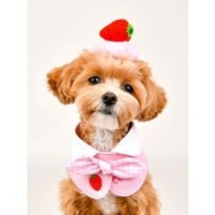 FRUİT POP CAP PINK KEDİ KÖPEK TOKASI ÇİLEKLİ