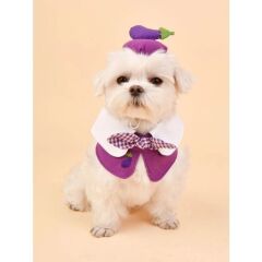 FRUİT POP CAP PURPLE KEDİ KÖPEK TOKASI PANTLICAN