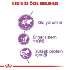 Regular Sterilised 37 Kısır Kediler için Kedi Maması 2 Kg