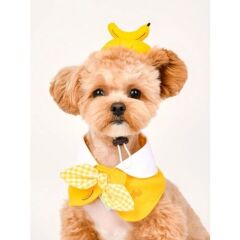 FRUİT POP CAP YELLOW KEDİ KÖPEK TOKASI MUZ