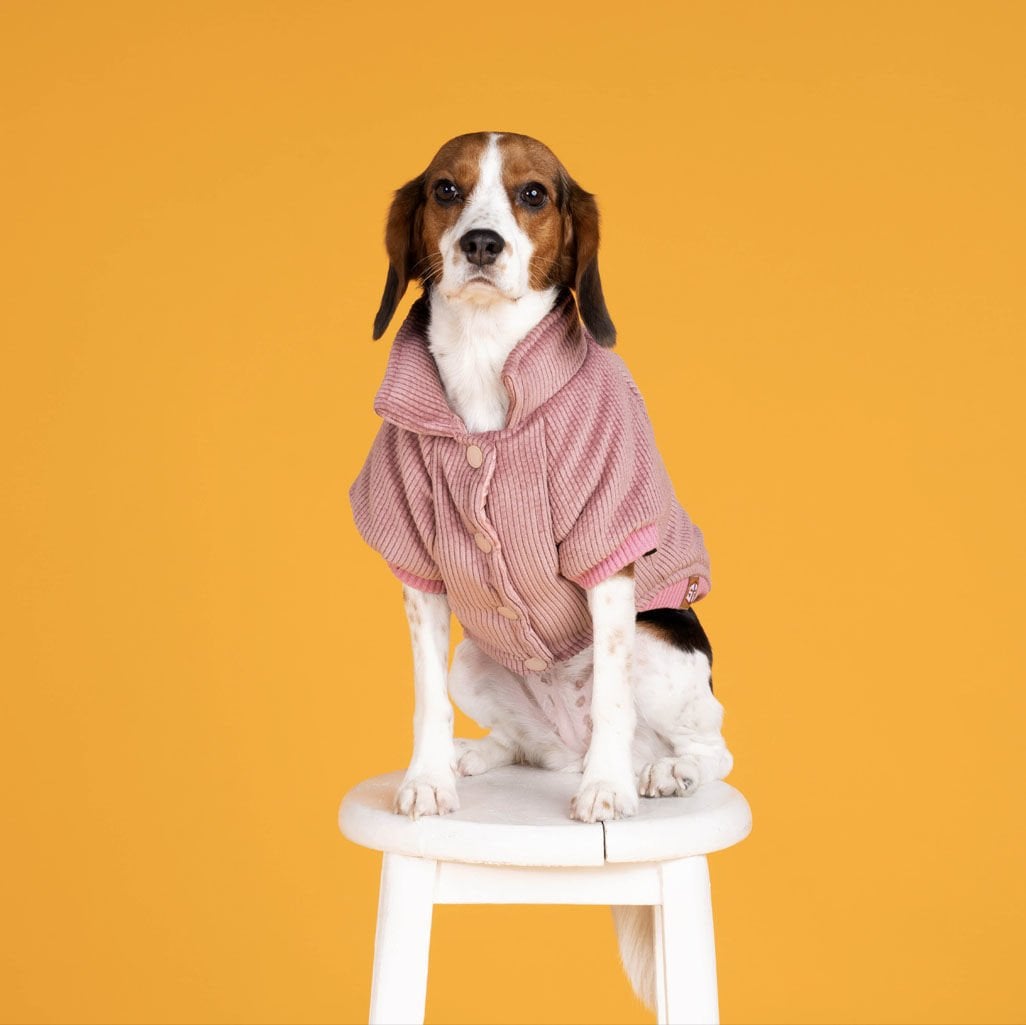 Salya Pembe Kadife Mont