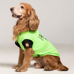 Salya I Always Be With You Köpek Yazlık T-shirt XLarge