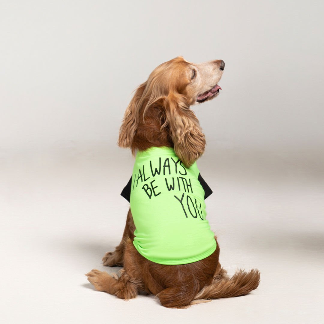 Salya “I Always Be With You” Köpek T-Shirt – Hafif, Rahat, Yazlık Tasarım (XLarge)