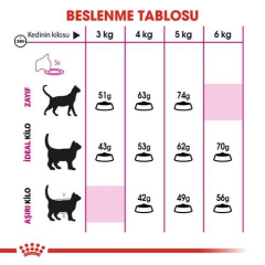Savour Exigent Yetişkin Kedi Maması 10 Kg