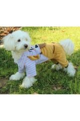 Pawstar İndigo Çizgili Tulum 2XL