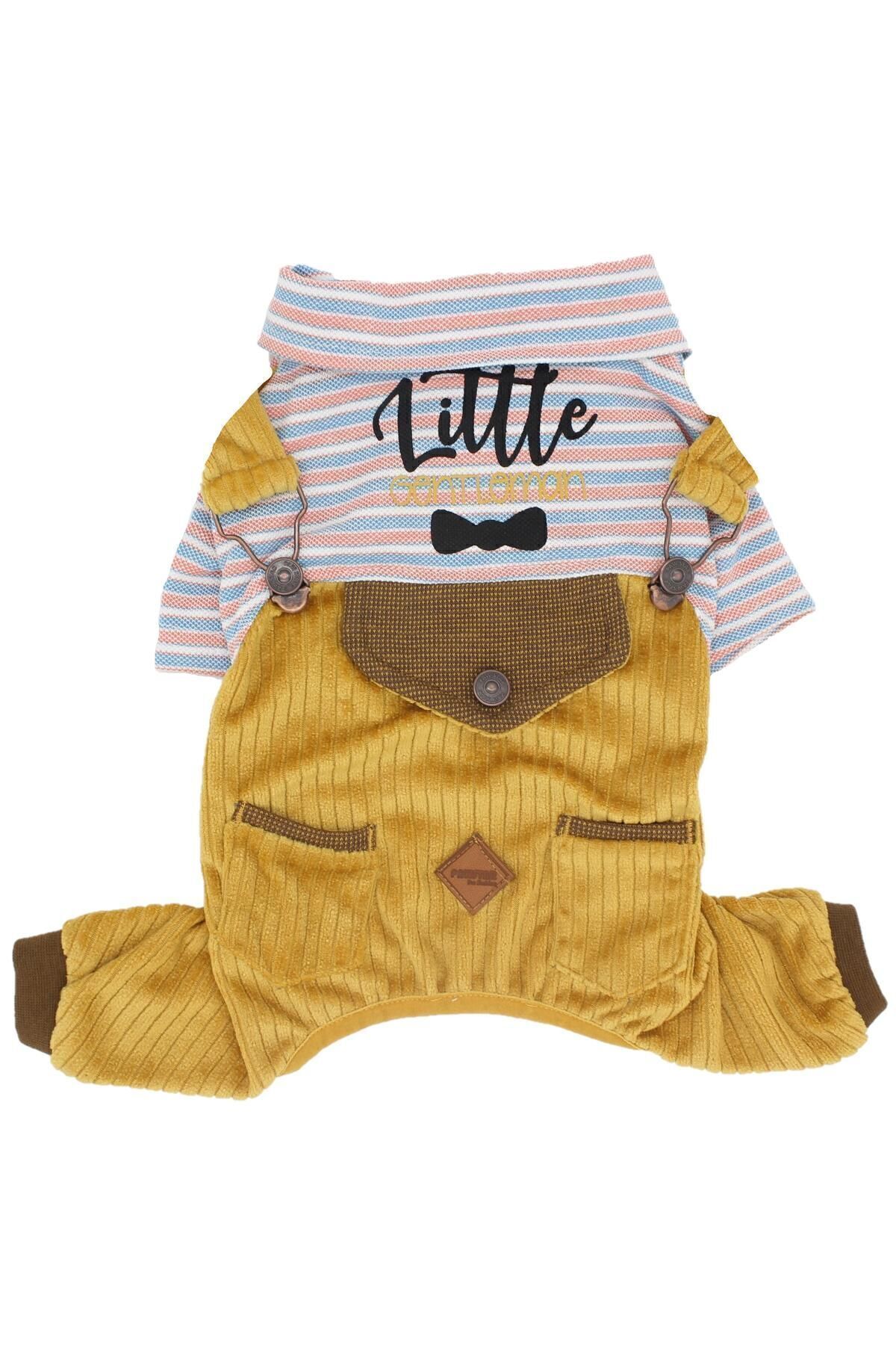 Pawstar İndigo Çizgili Tulum 2XL