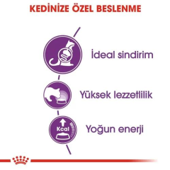 Sensible 33 Hassas Kediler için Yetişkin Kedi Maması 15 Kg