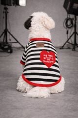 ALPHADOG AWESOME TSHIRT-3 KÖPEK T-SHIRT NO:3