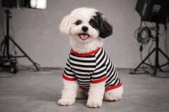 ALPHADOG AWESOME TSHIRT-5 KÖPEK T-SHIRT NO:5