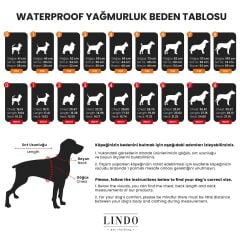 Lindodogs Bluestar İçi Polarlı Su Geçirmez Köpek Yağmurluğu