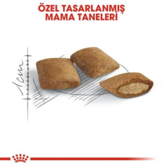 Ageing 12+ On iki Yaş ve Üstü Kediler için Kedi Maması 2 Kg