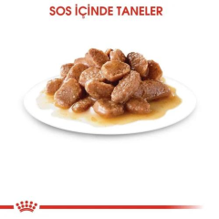 Intense Beauty Gravy Soslu Yaş Kedi Maması 85 gr