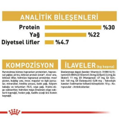 Persian Adult İran Kedilerine Özel Yetişkin Kedi Maması 2 Kg