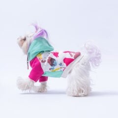 Pawstar Mint Rio Hoodie Köpek Sweatshirt – %100 Pamuk, Polar İç Dokulu (M)