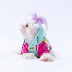 Pawstar Mint Rio Hoodie Köpek Sweatshirt – %100 Pamuk, Polar İç Dokulu (M)