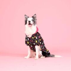 Lindodogs Waterproof Joy Köpek Yağmurluğu