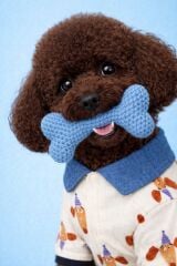 ALPHADOG PARTYPUP TSHIRT-4 KÖPEK TSHSIT NO:4