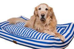 Peggy Daisy Mavi Kedi ve Köpekler için Yatak – Döşemelik Kumaş, Kaydırmaz Taban