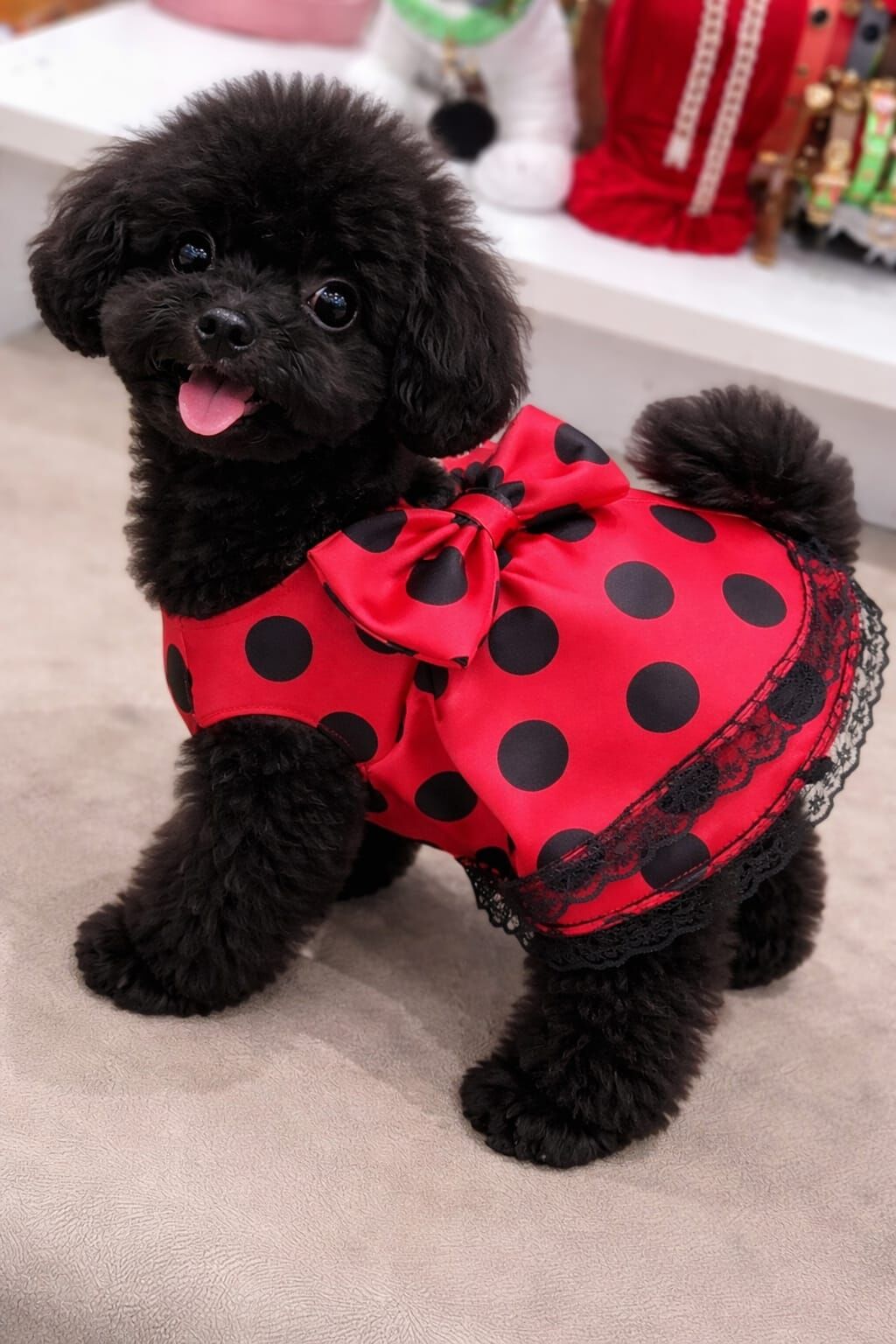 LOLİKA KIRMIZI PUANTİYELİ ELBİSE NO: 2